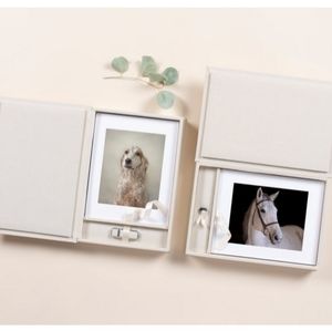 Meet your Posher, Elaine